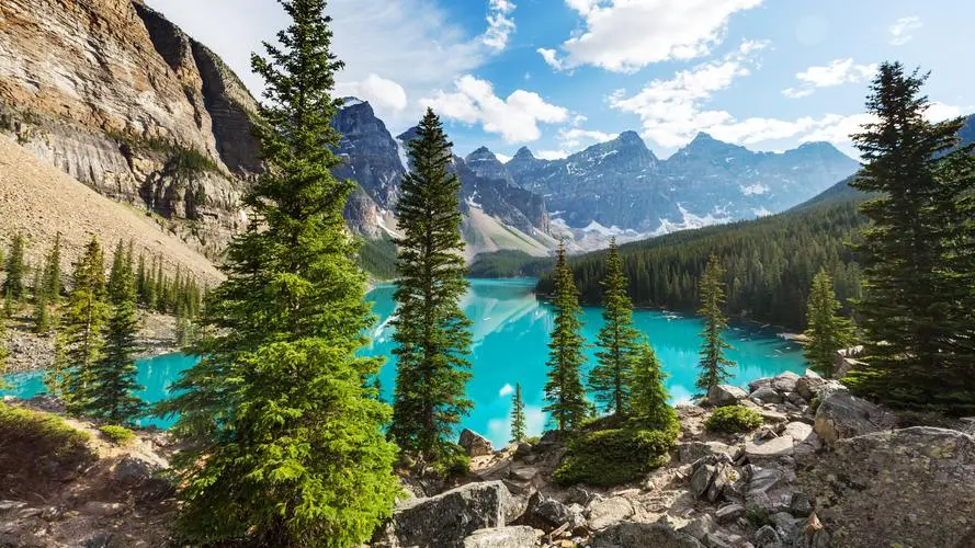 电子智慧城市智慧